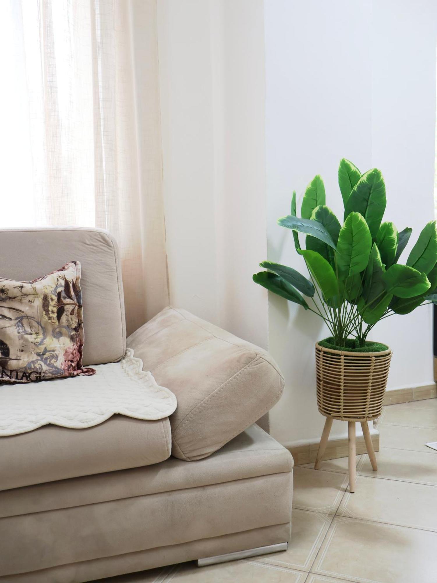 Fiora Apartamento *